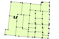 Polygons represented with the significant vertices only